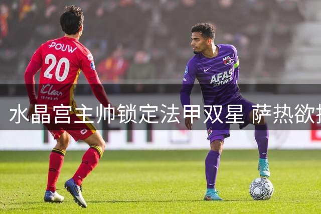水晶宫主帅锁定法甲双星 萨热欲挖角老东家补强后防